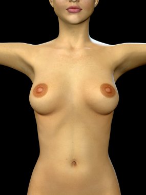 yakın gövde gösterilen bir kadın vücudu 3D render