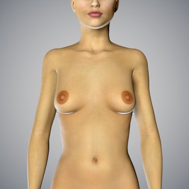 bir kadının küçük fincan göğüsler ile 3D render
