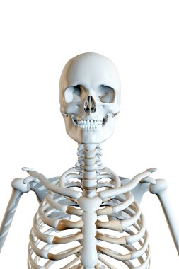 erkek iskeletin işlenmiş illüstrasyon