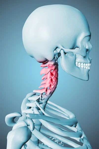 3D renderowane ilustracja mężczyzna szkieletu — Zdjęcie stockowe