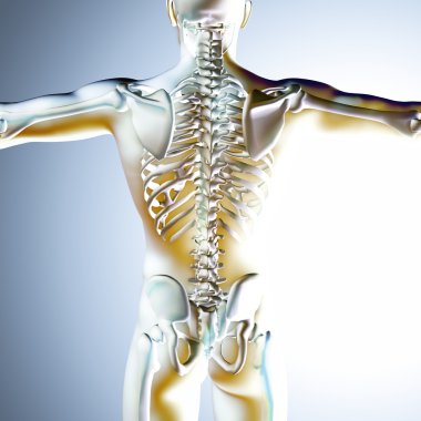 iskelet ile 3D tıbbi erkek figürü