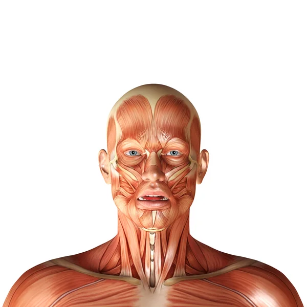 3d rendu d'une figure médicale à l'expression mode montrant en — Photo