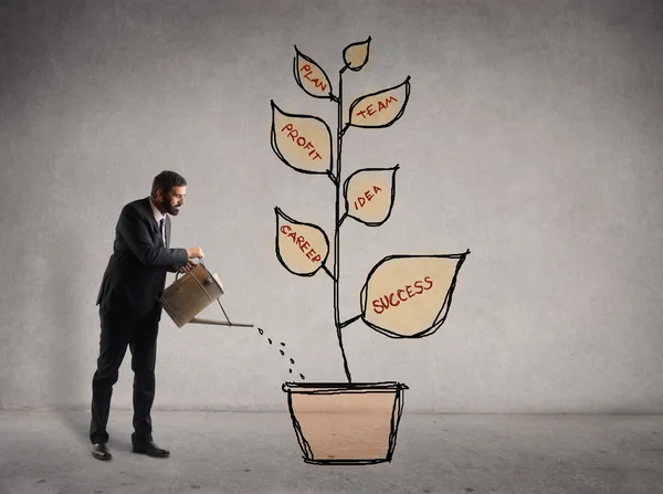 Businessman watering plant — Stock Photo, Image