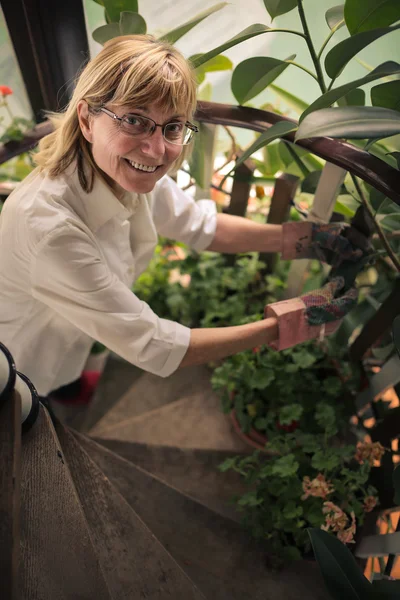 Frau gärtnert die Pflanzen — Stockfoto