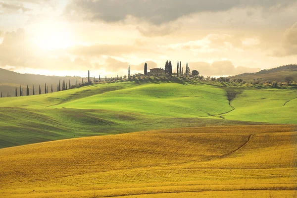 Imagen de paisaje natural en el campo —  Fotos de Stock