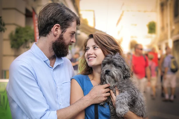 Casal com cão — Fotografia de Stock