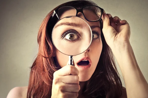 The Magnifying Glass — Stock Photo, Image