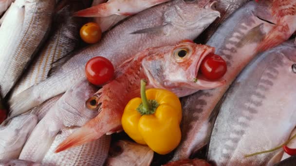 Nahaufnahme Von Frisch Gefangenem Fisch Auf Dem Fischmarkt Essaouira Marokko — Stockvideo