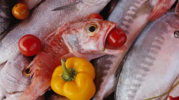 Primer Plano Del Pescado Recién Capturado Lonja Essaouira Marruecos Antecedentes — Vídeo de stock