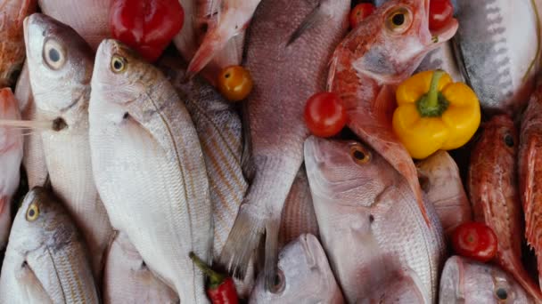 모로코 우이라 시장에서 생선을 것이다 장면의 배경입니다 카메라움직임 기울이기 — 비디오