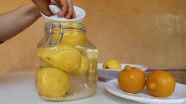 Doğal limonlarla, deniz tuzu ve suyla, geleneksel yolla Fas limonlarını korumak. Fas 'ın gurme spesiyalitesi Boussera. Probiyotik ve prebiyotik gıdalar, sağlıklı bir bağırsak için iyi bakteri açısından zengin..