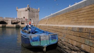 Eski, ahşap, mavi balıkçı teknesi ve Essaouira 'da uçan martılarla birlikte limanın pulu. Fas 'ta turistik seyahat. 