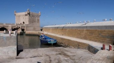 Eski, ahşap, mavi balıkçı teknesi ve Essaouira 'da uçan martılarla birlikte limanın pulu. Fas 'ta turistik seyahat. 