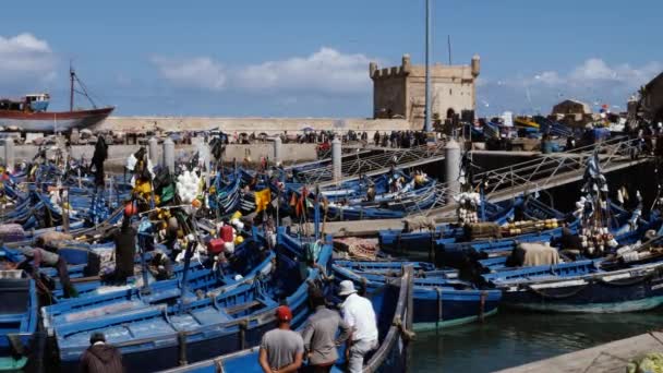 Λιμάνι Γαλάζιες Ψαρόβαρκες Και Sqala Port Στην Εσαουίρα Τουριστικός Προορισμός — Αρχείο Βίντεο