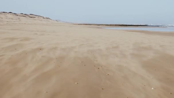 Scena Spiaggia Con Vento Pesante Veloce Che Soffia Sabbia Filmati — Video Stock