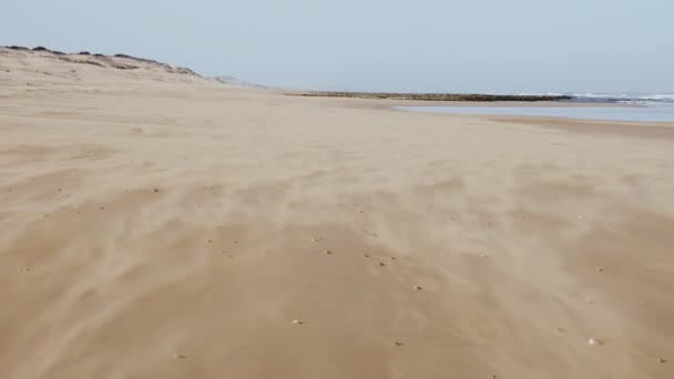 Пляжная Сцена Медленно Движущимся Песком Сильным Ветром Эссауире Моро Замедленная — стоковое видео