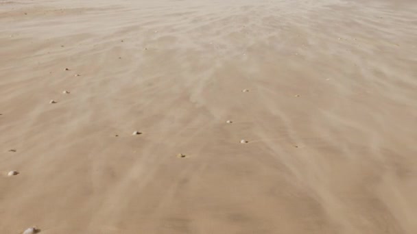 Close Van Snel Bewegend Zand Aan Het Strand Zware Wind — Stockvideo
