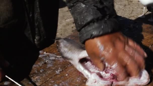 Čerstvě Chycené Houpací Ryby Čistí Volném Trhu Rybami Essaouiře Maroko — Stock video