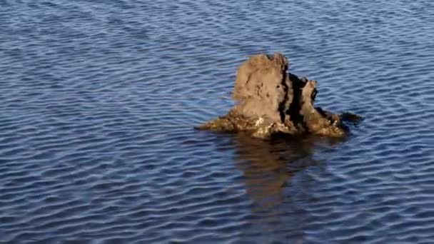 Rots Met Reflectie Kabbelend Marineblauw Zeewater Contrast Van Een Rustig — Stockvideo