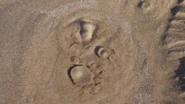 Burbujas Arena Playa Con Agua Limpia Movimiento Pequeños Géiseres Arena — Vídeo de stock