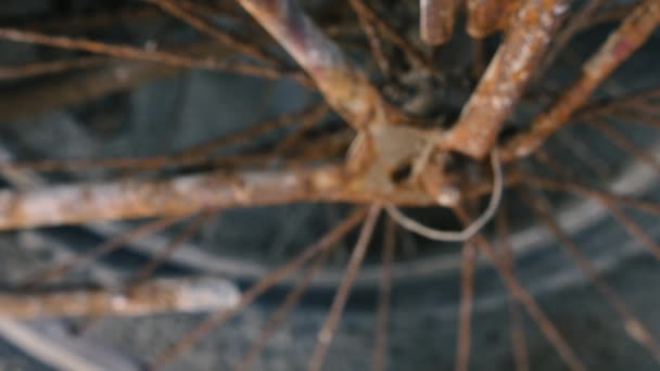 Деталь Дуже Іржавого Велосипедного Колеса Перехід Від Розмитого Фокусу — стокове відео
