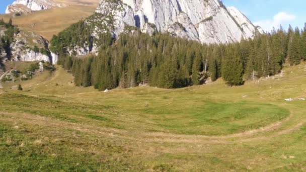 Hora Schafberg Lesem Wildhausu Gallen Švýcarsko Idylická Rekreační Turistika Hornaté — Stock video