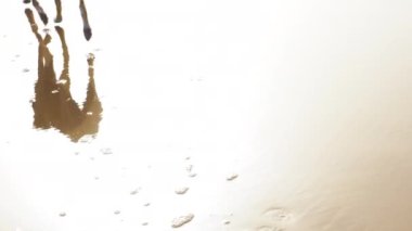 Sloughi tazı köpeğinin (Arap tazısı) ıslak kum kaybolan bulanık kum üzerindeki yansımaları. Rüya zamanı, yüksek anahtar, odak dışı, eski tarz, yavaş çekim görüntüleri.