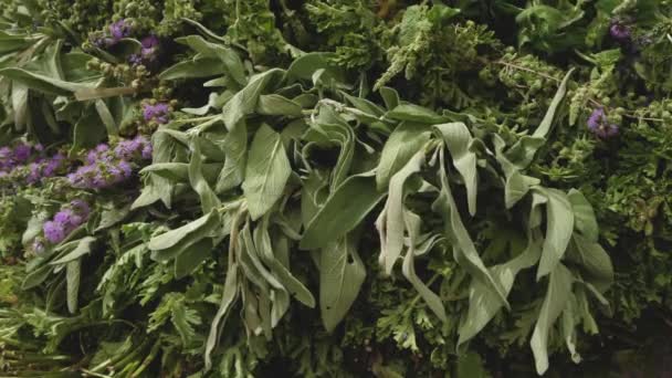 Pile Fresh Herbal Tea Leaves Traditional Moroccan Rural Farmers Market — Stock Video