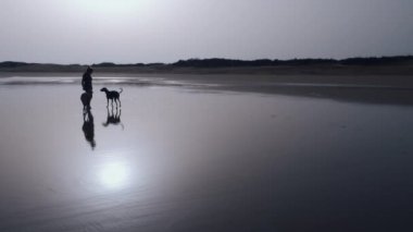 A woman plays with her two Sloughi dogs (Arabian greyhound) on the beach. Healthy leisure time outdoors. Backlit, color graded, slow motion footage.
