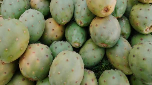Haufen Kaktusfrüchte Kaktusfrüchte Auf Einem Bauernmarkt Essaouira Marokko Marokkanisches Street — Stockvideo