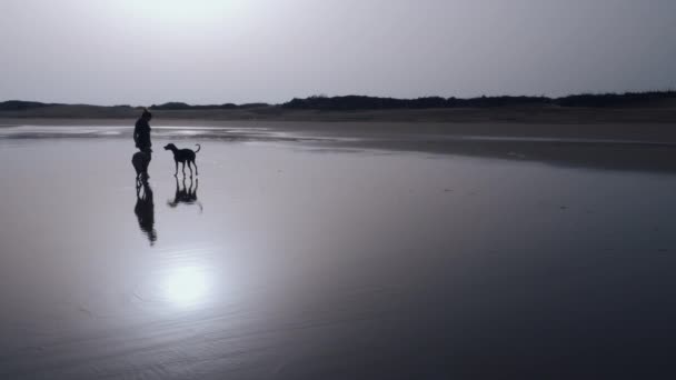 一个女人在海滩上和她的两只Sloughi犬 阿拉伯灰狗 在户外度过健康的闲暇时间 彩色分级 慢镜头 — 图库视频影像