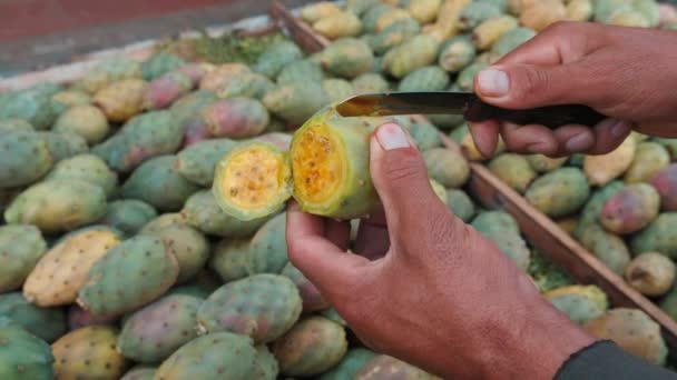 Homem Descasca Uma Pêra Espinhosa Amarela Frutos Cacto Mercado Agricultores — Vídeo de Stock