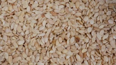 Argan kernels - closeup. The kernels from the Argan nuts are used to produce the famous Argan oil.