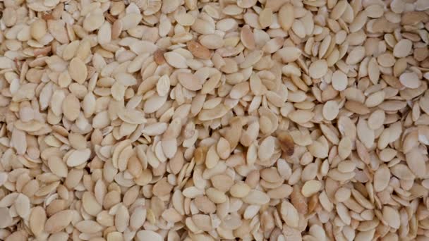 Argan Kernels Close Pitten Van Argan Noten Worden Gebruikt Beroemde — Stockvideo