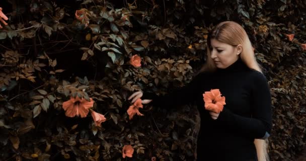 Femeie Arabă Blondă Marocană Atrage Floare Hibiscus Imagini Timp Real — Videoclip de stoc