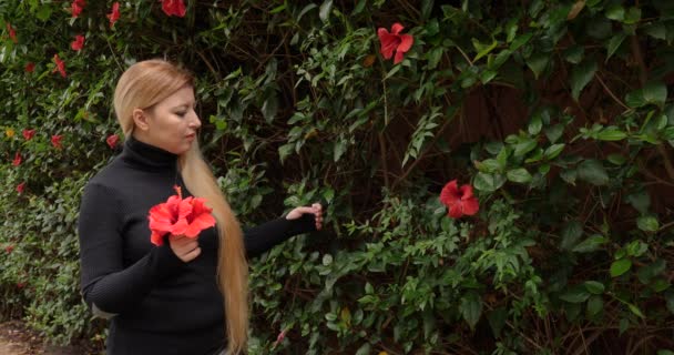 Mulher Bonita Com Longos Cabelos Loiros Arranca Flores Cuidadosamente Hibisco — Vídeo de Stock