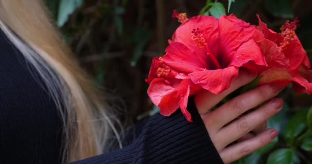女性の手を保持し ハイビスカスの花を回す リアルタイム映像 — ストック動画