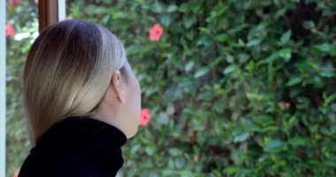 Beautiful woman with long blond hair plucks carefully hibiscus flowers to decorate her house. Real-time footage.