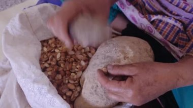 Faslı bir kadın geleneksel el yapımı Argan petrol üretimi için çekirdekleri çıkarmak için Argan fındığı açıyor. Yağ yağ asitleri açısından zengindir ve yemek ve kozmetik ürünlerinde kullanılır..