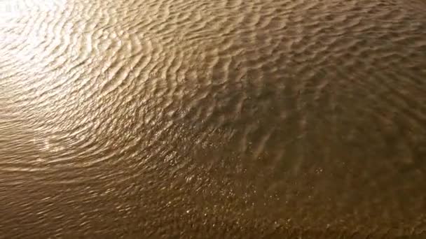 Golden Glittering Sea Water Ripples Slow Motion Sun Reflection Clean — Vídeos de Stock