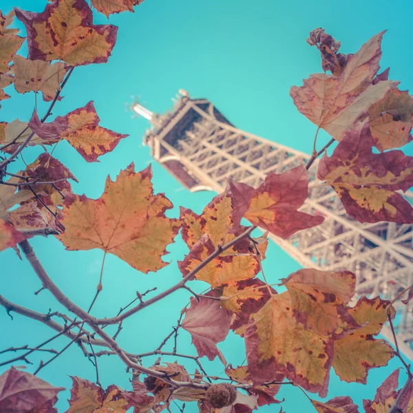 Eiffel Tower In The Fall — Stock Photo, Image