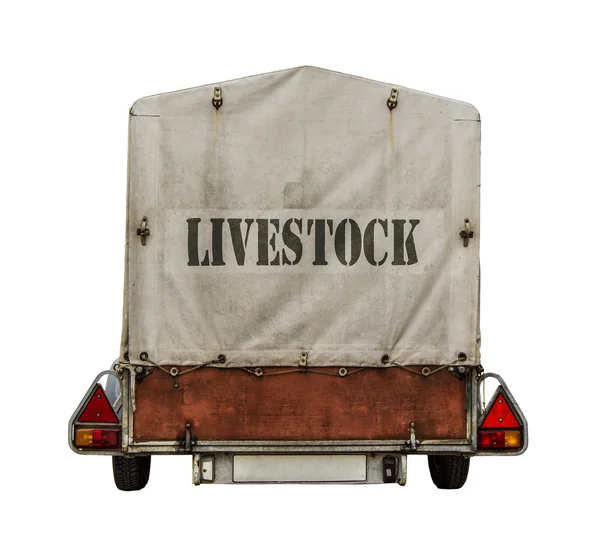 Traseira do reboque de gado — Fotografia de Stock