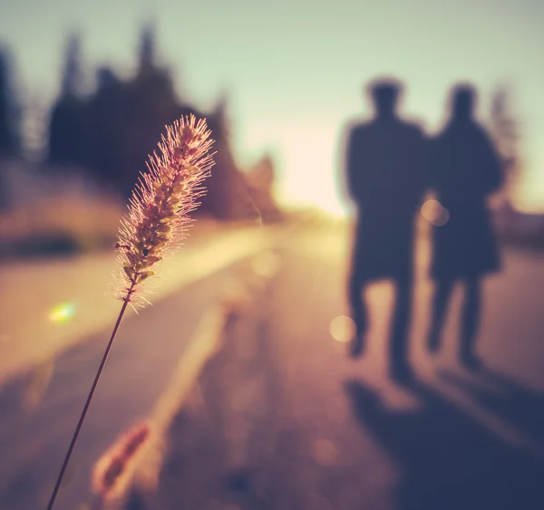 Casal Senior romântico ao pôr do sol — Fotografia de Stock