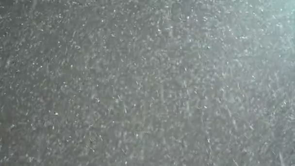 밤에 눈이 날리는 모습 — 비디오