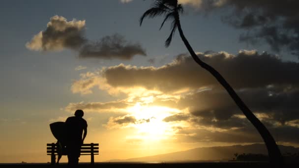 Hawaii-Surfer bei Sonnenuntergang — Stockvideo