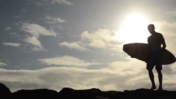 Two Hawaiian Surfers — Stock Video