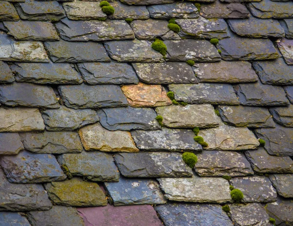 Vintage Slate Tile Roof — Stock Photo, Image