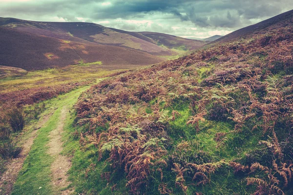 Scottish Borders landsbygdens landskap — Stockfoto