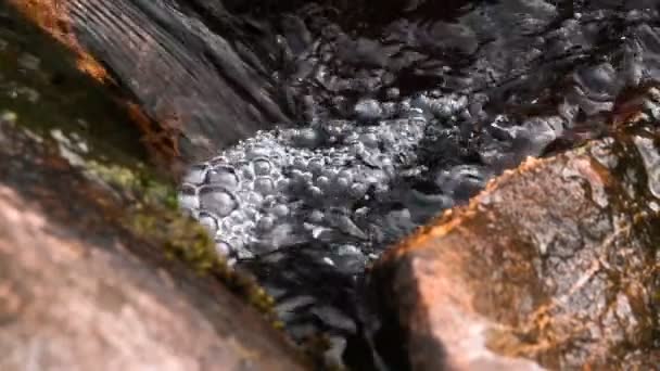 Långsam rörelse Creek eller ström — Stockvideo