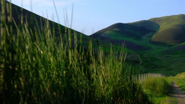 Panning Shot Rural Trail Scottish Borders — Stock video
